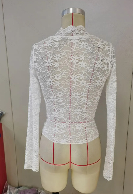 Dames blouse met v-hals en lange mouwen en kant voor elegante look_voghion.com