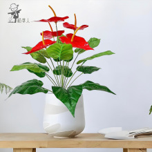 ���滨�t�ƼپGֲ���컨�Ҿ��bGɫֲ��һƷ�t�����辰�[�O����