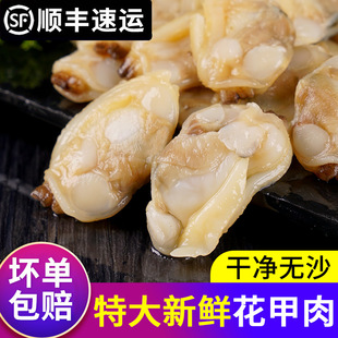 �����⻨���r����S͘���⻨�������r���ݺ��ݺ��rؐ�Ǹ�؛��ʳ