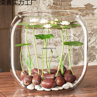 ��ɏ�N�߲������ɫˮ�໨��ˮ�B�ļ�ɏ���ɻ��Nɏź�Gֲˮ��ɏ��