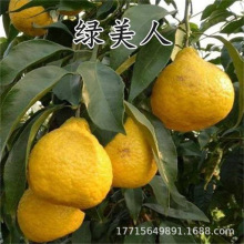 �޽Ӵ�Ҋ�ҰҸ̘������Ե����Ϸ��Nֲ�̽ۘ������������������