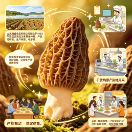 豆制品;其他干货;黑木耳