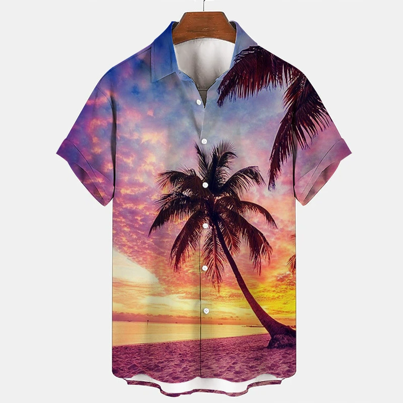 AliExpress Amazon Подростковая Летняя мужская рубашка с цифровым 3D принтом для пляжа и пейзажа Повседневная Свободная