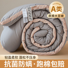 被子冬被加厚保暖棉被空调被单人被芯春秋被四季太空被褥2025新款