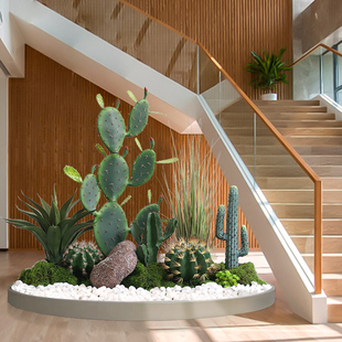 �����������쾰���^ɳ��ֲ��������������b���������Ԕ[��