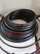 FESTO ��Ʒ���� PLN/PUN/PEN-8X1,25-SW 159667 195282 543242