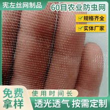 果园大棚蔬菜防鸟防虫网60目 农用养殖网罩批发 蔬菜菜园防虫网