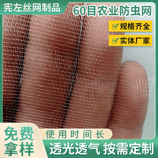 ���@�����߲˷��B���x�W60Ŀ �r���Bֳ�W�����l �߲˲ˈ@���x�W