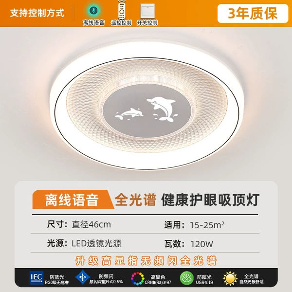 [海豚圆形46厘米离线语音]