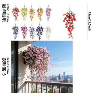 ���R�d�羳�������Ϸ��滨�r���ȼ�����ɫ���ڒ�����ͥԺֲ��Ғ�