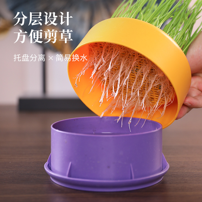 Nuevas semillas de gato Caja de hierba para gatos Caja de hidropónica de hierba para gatos Aperitivos para gatos Bola de depilación natural Lavabo de hierba para gatos creativo