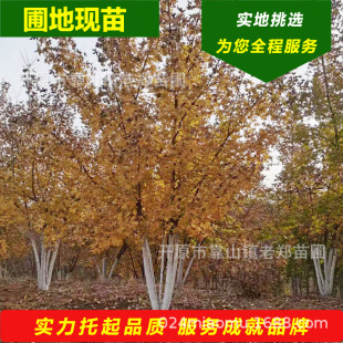 ���l����Ԫ�����@�־G���L�����^�p��Ǘ��乤�̾G������|������