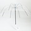 Creative simplicity Apollo transparent umbrella long handle thickened POE umbrella straight pole transparent umbrella Apollo arched umbrella