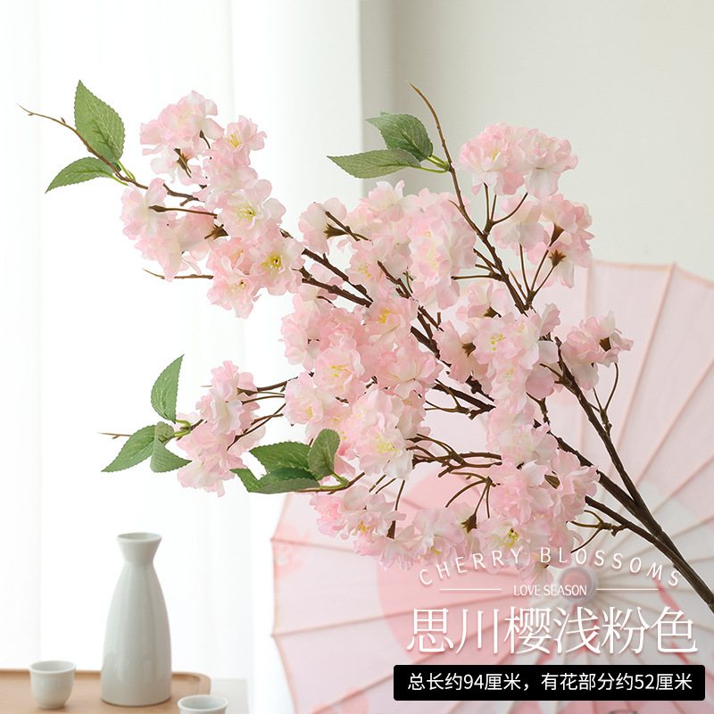 쓰촨 사쿠라 라이트 핑크