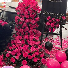 �ٲ����滨õ���c�[���Ƶ꽁���ٲ������ٻ���ˇ���շ��滨�ٲ�