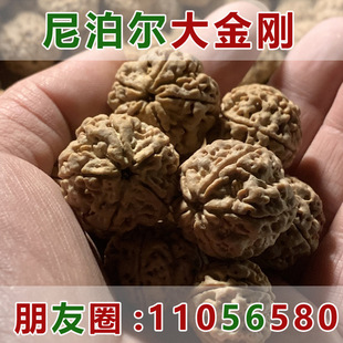 ������朵����l������Ჴ��������������ִ�������������