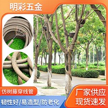 �|ݸ�S����|�����o��ȼ������ٹ����������Ø��ٹ�  ����������