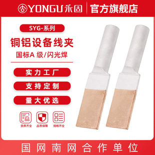 �����~�X�O�侀�ASYG�W�⺸ ���s�;��A���l����