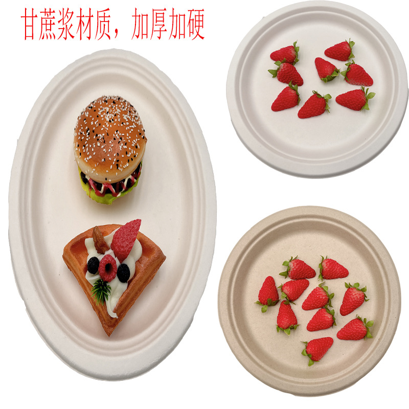 disposable-sugarcane-pulp-paper-plate-eco-friendly-degradable-picnic-barbecue-pizza-diy-art-painting-plate
