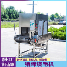 猪蹄烧毛机小型猪头牛羊头燎毛机全自动连续式猪肘子去脱毛设备