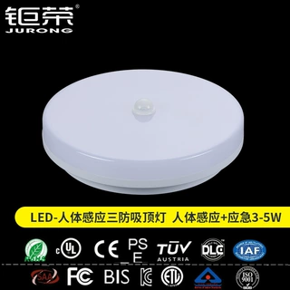 LED人体感应三防吸顶灯卫生间浴室防雾亮化批发照明沐浴灯