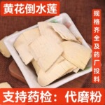 观音串 中药材 黄花倒水莲 黄花参 鸡仔树 吊吊黄 黄花吊水连