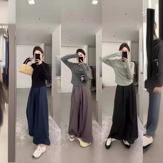 Special Suit Wide-leg Pants Women's 2024 Early Spring New Korean-style Elastoelastic High Waist Loose Large Version All-match Meat Covering Long Pants