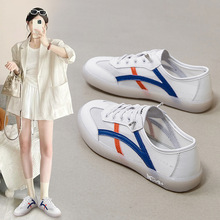 ZHR�t�t��ĥ�����͎����e2024�����r���¿�͸��ٴ��\�����eŮЬ