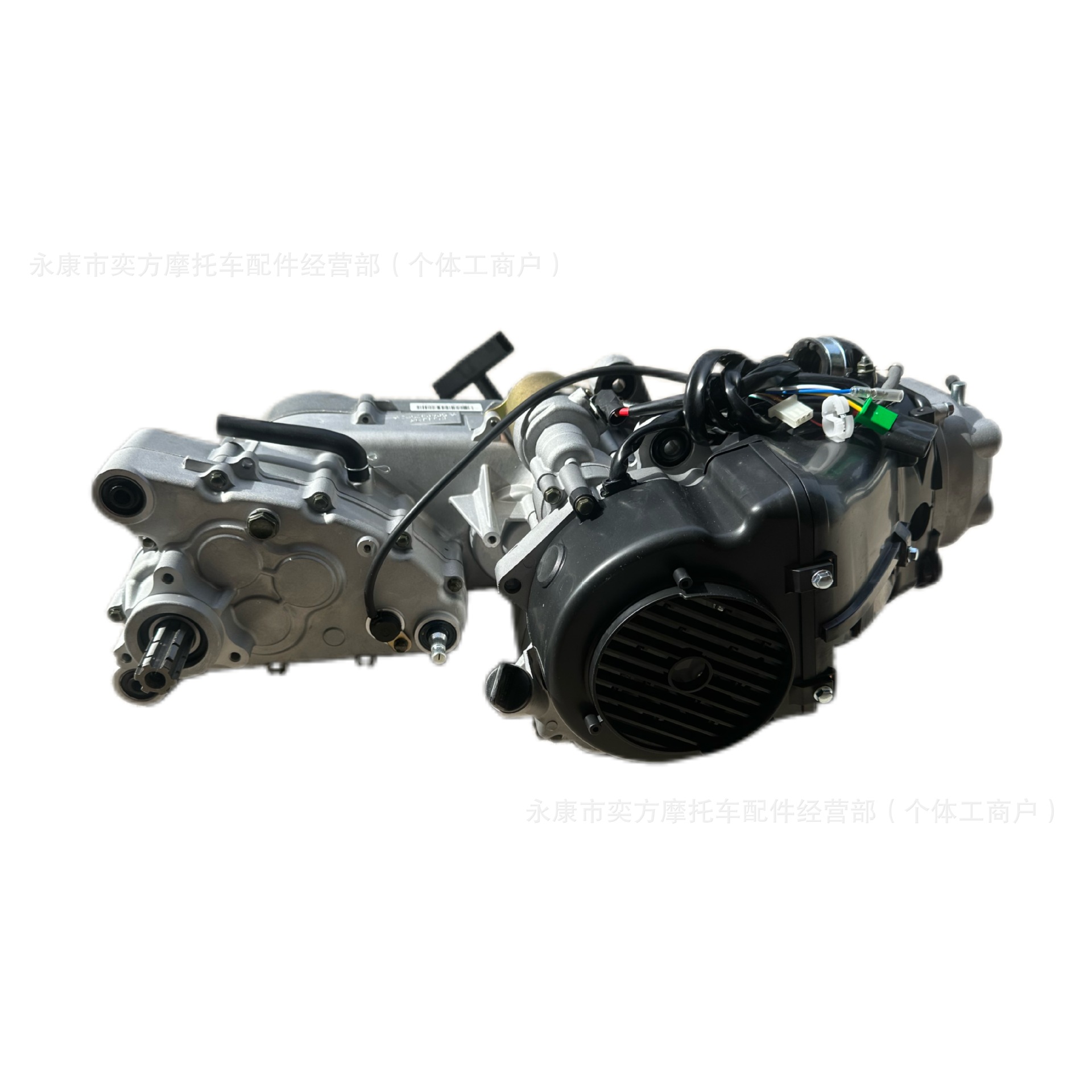 Gy6 Jinlang Engine 161/163-200Cc Built-In Reverse Gear Chain Drive Air-Cooled Oil-Cooled Balance Shaft Engine