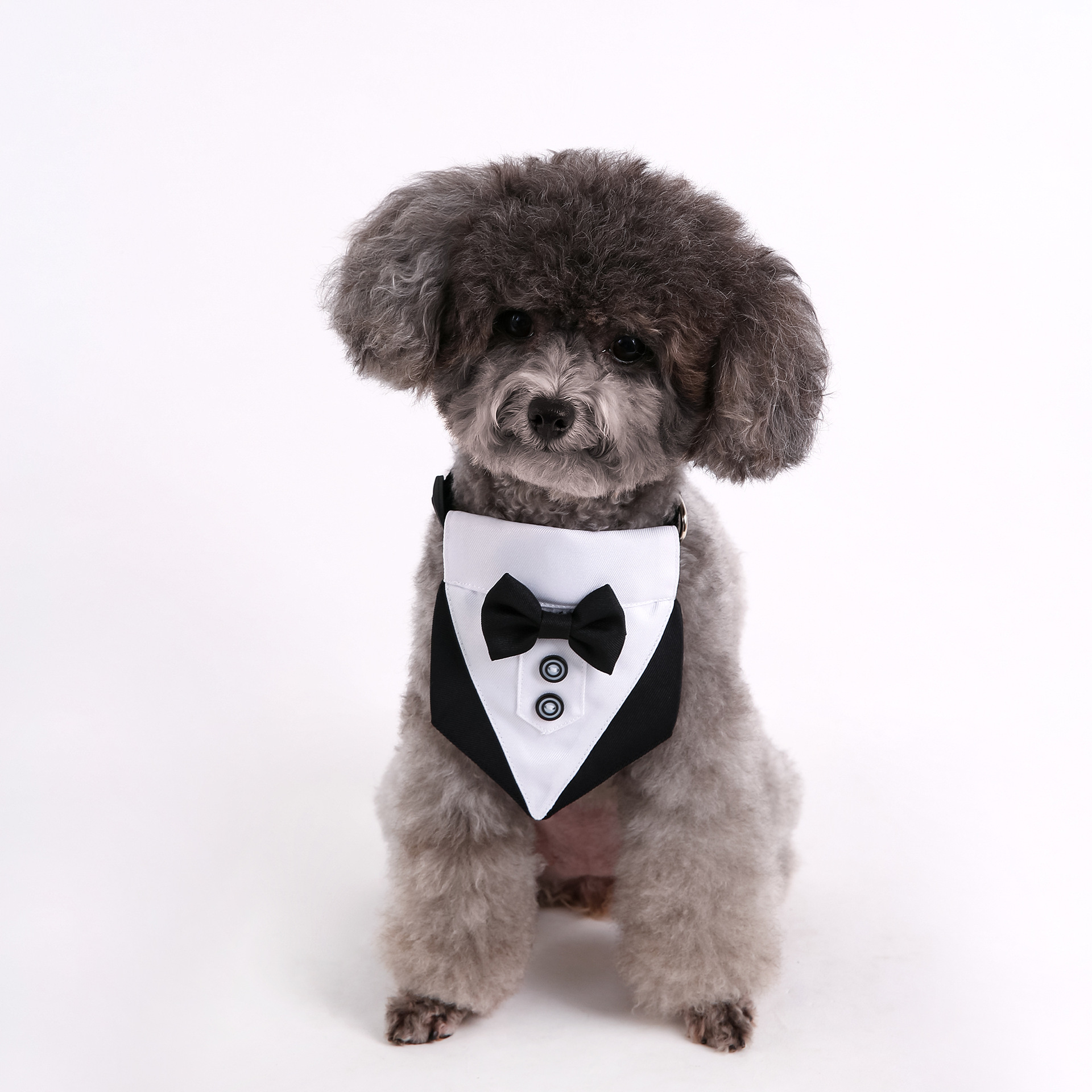 Transfronterizos nuevos trajes de boda de estilo británico perros y gatos toallas de saliva de boda toallas de triángulo para mascotas bufandas suministros