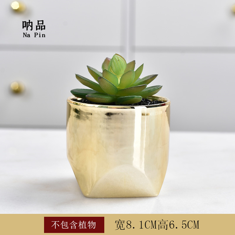 Maceta suculenta de cerámica con baño dorado, estilo fruta