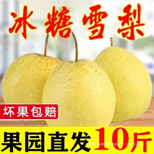 ѩ�����w�h���r����]ѩ��ˮ�����r�����������r10ѩ������5��9��