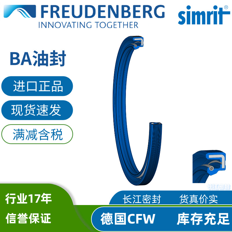 德国进口cfw油封 BAU4X2 58-72-8 45 simrit单唇 DIN3760A