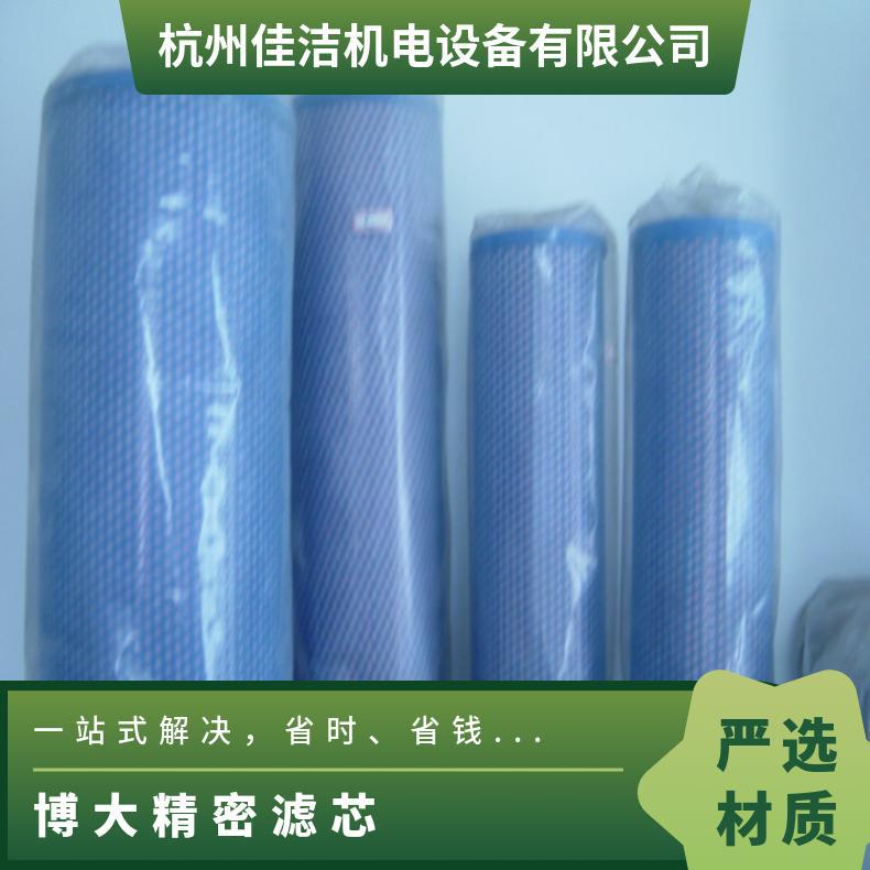型号E9-24 缠绕滤芯 原水压力5mpa 0.5平方米 博大FYS-100/8
