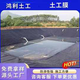 土工膜污水处理池新国标防渗膜鱼塘养殖污水厂防渗hdpe光面土工膜