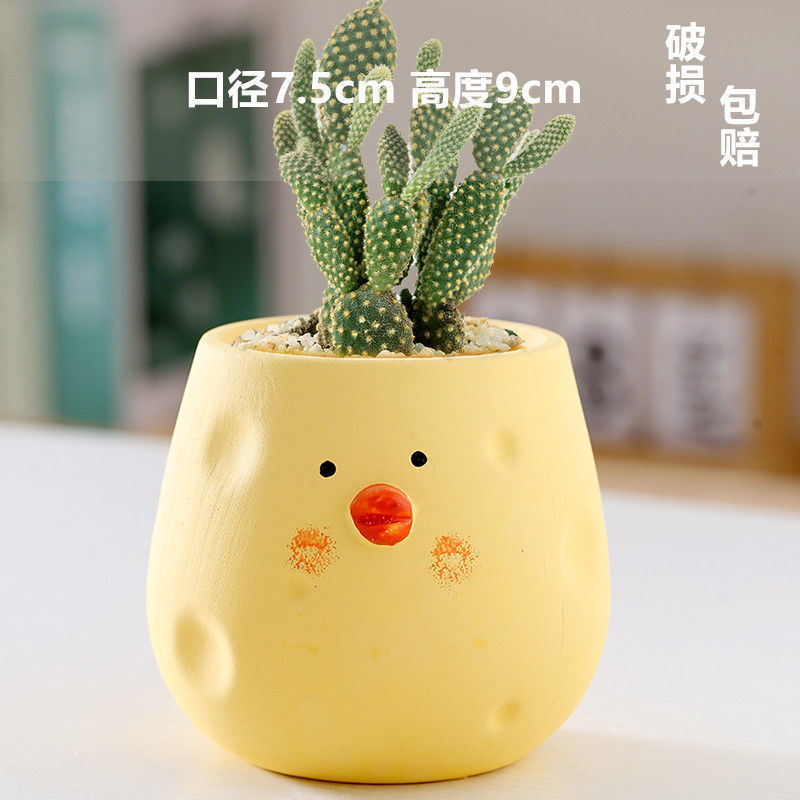 Macetas de cerámica para suculentas con diseño de animales de dibujos animados, pequeño tamaño, para estante de flores en casa, suministro al por mayor
