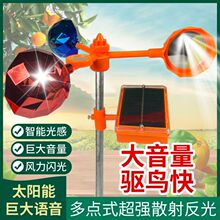 ��B���s�B�������@�r�������B̫����Z���B�����s�B��B����