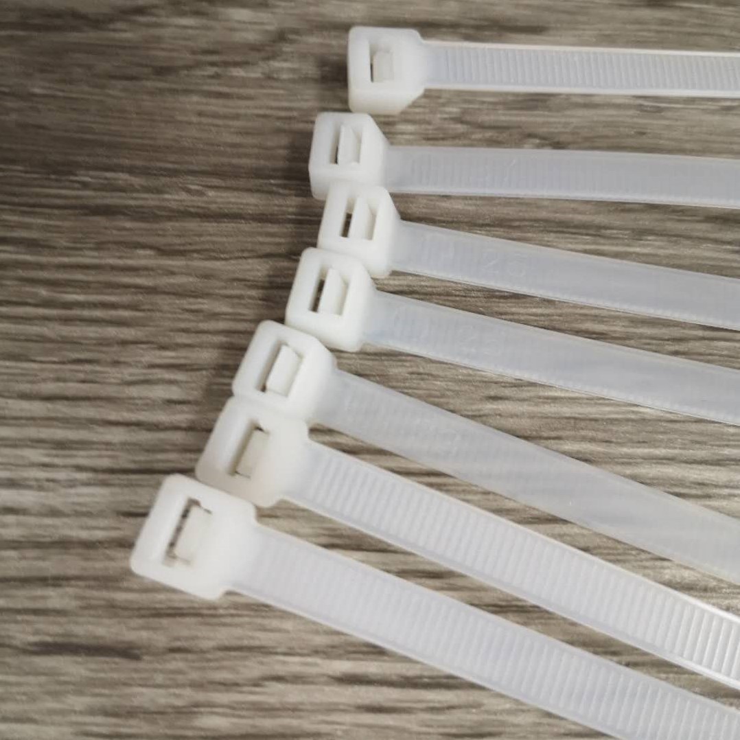 扎带自锁式捆绑扎带汽车线束带塑料扎线带白色束线带工厂批发