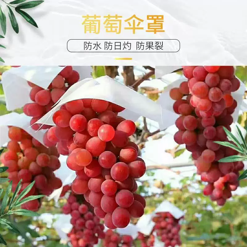 Виноградный мешок виноградный солнцезащитный крем солнцезащитный зонт водонепроницаемый анти-птичий зонт чехол для солнечного света