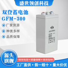 �p��GFM-300��늳�2V300AH�|������UPS�C��EPSֱ�����l늏S����