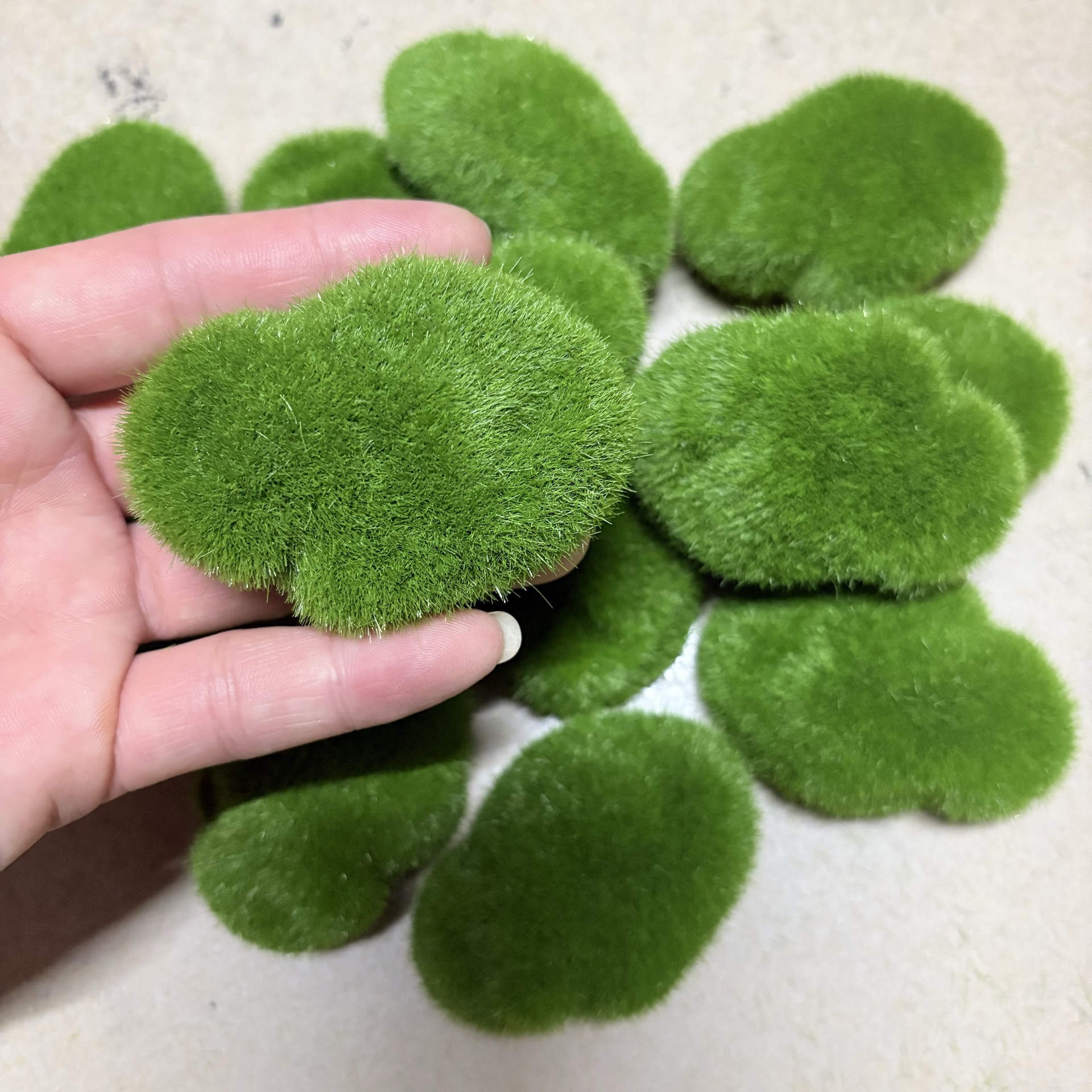 微信图片_20241021230727