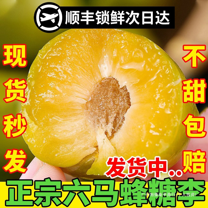 Authentic Guizhou Liuma honey sugar plum fresh fruit Zhenning seasonal honey plum pitted 5 jin gift box flagship store