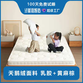 蓝思制造棕榈薄床垫乳胶1.5m榻榻米垫椰棕加硬席梦思偏硬护脊棕垫