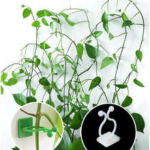 �G�}�̶�������ֲ��Gֲ�������������h늾��̶����������͹̶��A