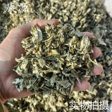 【康源】批发零售大艾叶公斤价格优质货源专业艾叶批发