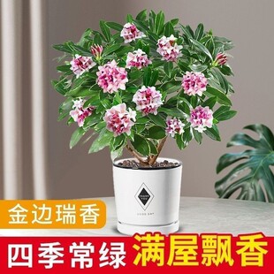 ��߅�������ԝ������ͺ��辰�Gֲ�����҃��^���ļ��͏d�_���辰