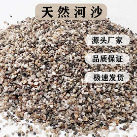 直发纯河沙建筑专用混凝土砂浆河沙工程分目河沙园艺盆栽消防沙