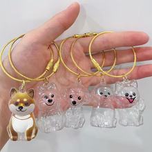 宠物毛发挂件小狗透明收纳盒猫咪狗狗形状创意钥匙扣狗牌