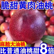 现摘黄肉油桃新鲜时令水果当季黄心大果孕妇水蜜桃子批发3/5斤