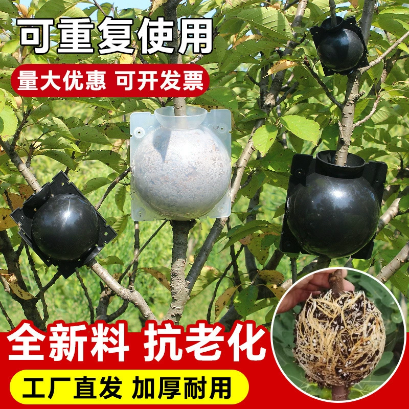 Коробка для размножения растений высокого давления корневая дерево высотное штампованное устройство для размножения шариков для садоводства